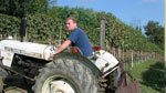 le vigne delle Langhe